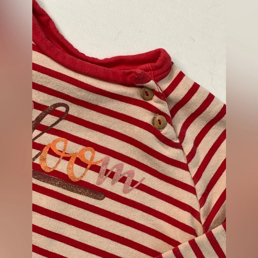 Zara Baby Girl Striped “Bloom “ Sweatshirt